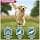 Eukanuba Adult Dog Dry Food For Large Breed Lamb&Rice 2.5kg - Image 5