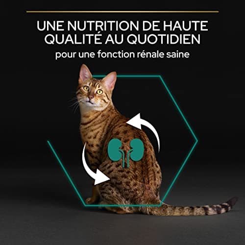 PURINA PRO PLAN | Renal Plus | Cat | Complete Dry Food for Sterilized Adult Cats | Helps Maintain Healthy Kidney Function and Urinary System | Chicken | Bag | Pack of 6 x 1.5 kg - Image 5