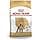 ROYAL CANIN C-08958 S.N. Poodle 30-1.5 kg - Image 2