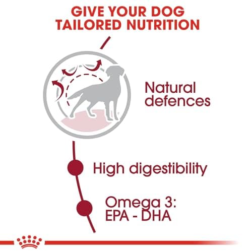 ROYAL CANIN® Croquettes pour chiens adultes de taille moyenne 4 kg - Image 8