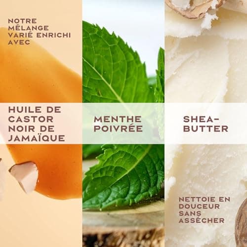 SheaMoisture Strengthen & Restore - Shampooing Doux - Sans Sulfate à l’Huile de Ricin Noir de Jamaïque et au Beurre de Karité - Pour Cheveux Abîmés ou Traités Chimiquement - 1 x 384 ml - Image 5