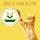 FRISKIES | Indoor Cat | Complete Dry Food for Indoor Adult Cats | Chicken and Vegetables | Complete Food for Indoor Cats | Bag | 1.5 kg - Image 8