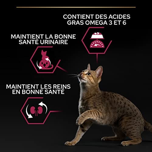 PURINA PRO PLAN | Savoury Duo | Complete Food for Sterilised Adult Cats | Promotes Urinary Well-Being with High Protein Content | Rich in Duck and Liver | Dry Food | Bag | Pack of 4 x 3 kg - Image 4