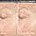 RoC - Multi Correxion Revive + Glow Gel-Cream with Vitamin C - Anti-Wrinkle and Aging - Anti-Aging - Firming Moisturizer - 50 ml - Image 8