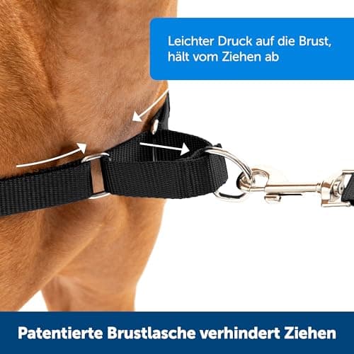 PetSafe Easy Walk Harness - Image 4