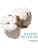 Wella Professionals INVIGO VOLUME BOOST Shampoing volumateur – avec complexe Volume Boost, pour cheveux normaux à fins - Image 6