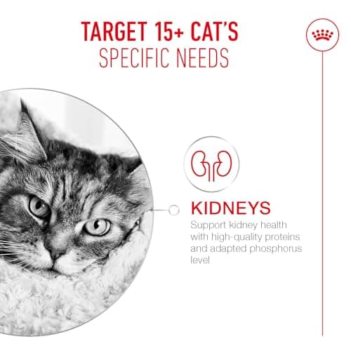 ROYAL CANIN AGEING 15+ | 2kg | Dry Food for Senior Cats from 15 Years | Formula with HealthyAge7 Complex | Contains Easy Chewable Kibble - Image 4