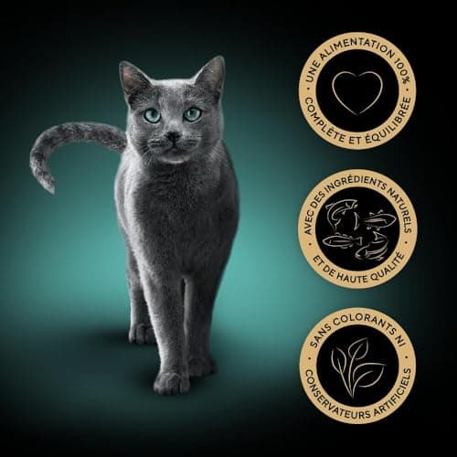 Sheba Sauce Collection Fresh Sachets Wet Food Fish Selection for Adult Cats 4 Varieties 40x85g - Image 5