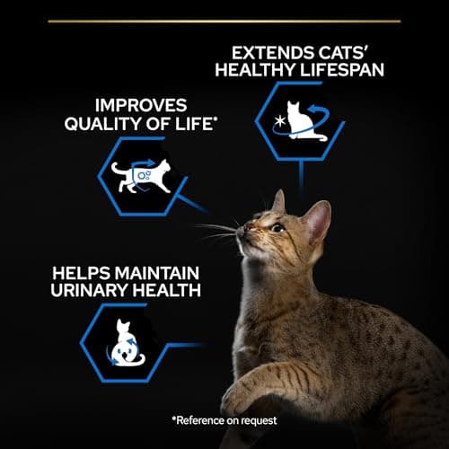 PURINA PRO PLAN | LONGEVIS | Sterilised 7+ | Complete Food | Sterilized Senior Cat 7+ Years Old | For a Longer Healthy Life | Turkey | Dry Food | Bag | 3 kg - Image 7