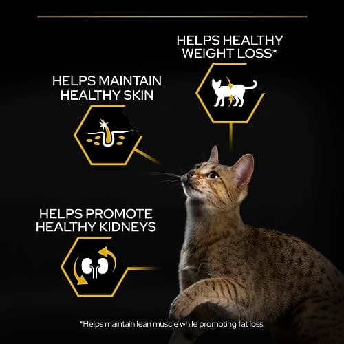 PURINA PRO PLAN | Light | Overweight and/or Overweight Adult Cat | Low Fat Dry Food to Help Weight Loss | Turkey | Bag | Pack of 1 x 3 kg - Image 7