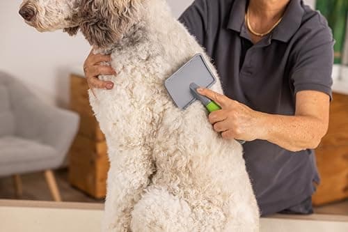 Wahl Large Carded Brush - Image 5