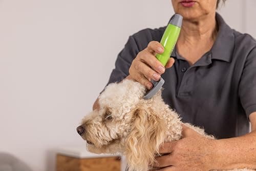 Wahl Bristle Brush Medium for Medium Dogs - Image 5