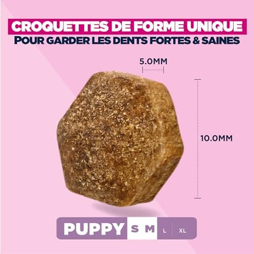 EUKANUBA Life Care Small Medium Puppy Food 1-12 Months, Rich in Lamb & Rice, Optimal Growth - DHA, Calcium, Omega 3&6, FOS, MOS, No Colorants, Artificial Flavours or GMOs - 12 kg - Image 6
