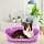 Ferplast Niche pour Chien de grande taille, 100% plastique recyclé, lit pour chien lavable, respirant et antidérapant Siesta Deluxe, 84 x 55 xh 28,5 CM, Wisteria - Image 4