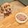 Complete Dog Meal by Lily's Kitchen - Image 6