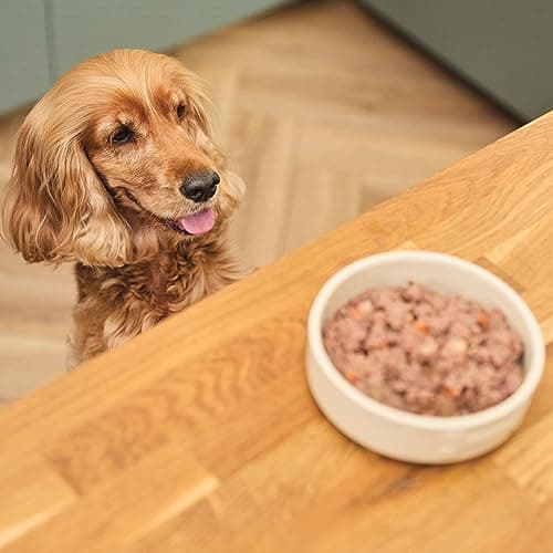 Repas Complet pour Chien par Lily's Kitchen - Image 6
