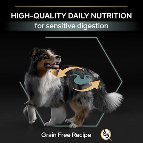 PURINA PRO PLAN | Sensitive Digestion | Whole Grain Free Dry Food for Adult Large and Medium Dogs with Sensitive Digestion | Promotes a Healthy Digestion | Turkey | Bag | 12 kg - Image 7