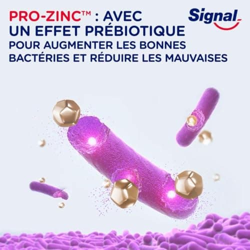SIGNAL - Dentifrice Blancheur integral 8 blancheur effet prébiotique - Protection Complète 3x plus efficace -96% d'ingrédients d'origine naturelle (lot de 4x75ml) - Image 7