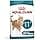 Royal Canin Ageing Sterilised 11+ | 2kg | Dry Food for Sterilized Cats Over 11 Years | Formula with HealthyAge7 Complex | Contains Easy Chewable Kibble - Image 2