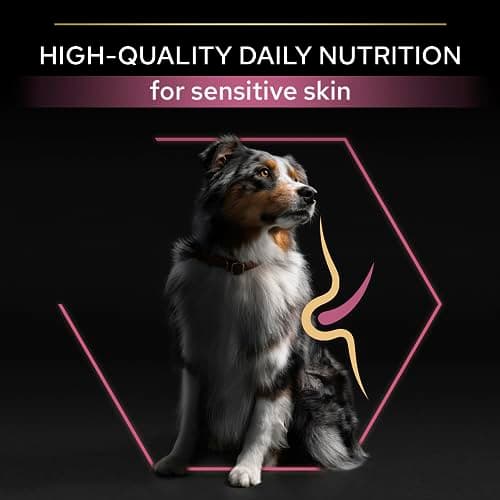 PURINA PRO PLAN | Sensitive Skin | Complete dry food for medium dogs | Promotes healthy skin and shiny coat | Salmon | Dry food | Bag | 14 kg - Image 7