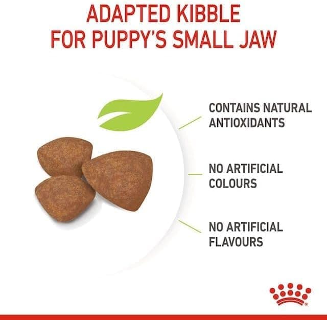 Royal Canin - Royal Canin Mini Junior Capacity: 800g - Image 4