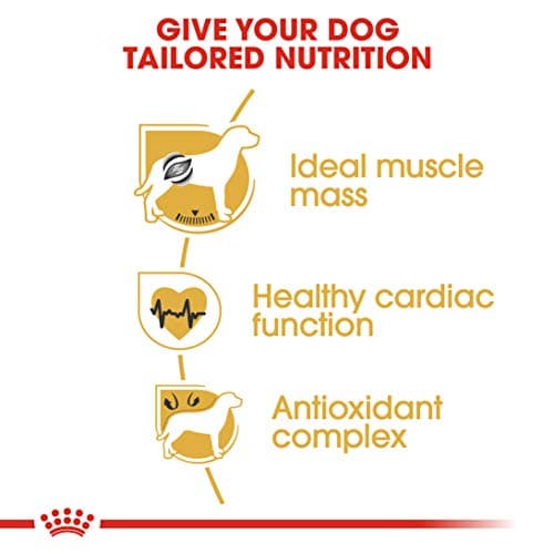 Royal Canin Breed Nutrition Boxer 26 Dry Food 12 kg - Image 6