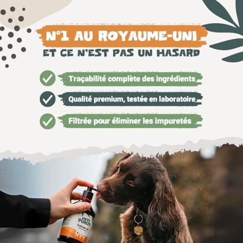 Pets Purest Salmon Oil for Dogs and Cats 1000ml - Pure Norwegian Salmon Oil with Omega 3-6-9 and Vitamin E - Supports Skin, Coat, Joints and Immune System - Image 8
