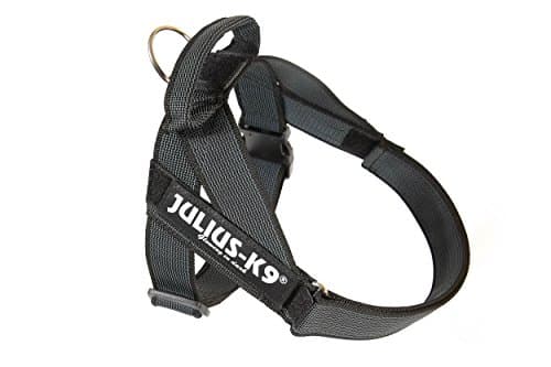 Julius-K9, IDC Color & Gray Strap Harness, Size: 0, Black-Grey - Image 3