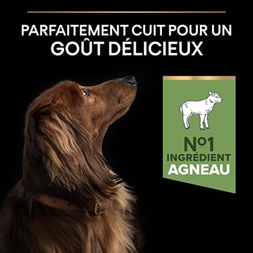 PURINA PRO PLAN | Sensitive Digestion | Complete Dry Food for Small Adult Dogs | Promotes a Healthy Digestive System | Rich in Lamb | Bag | 3 kg - Image 6