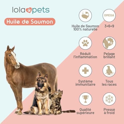 Salmon Oil for Dogs and Cats 1 Litre - 100% Natural Norwegian Salmon - Cold Pressed - Rich in Omega 3+6+9 and Vitamin E | Practical Doser (Red) - Image 5