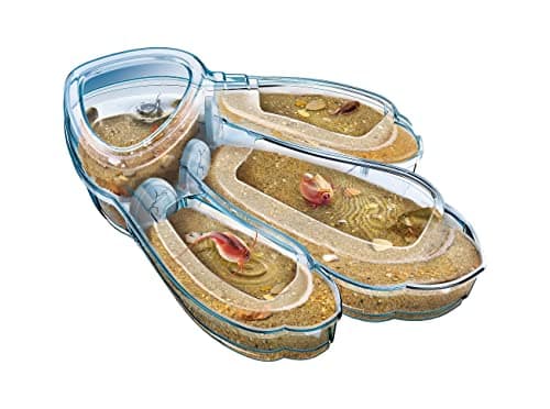 Clementoni | Triops: Prehistoric Animals for Children 8+ | Science & Game | Science Kit | Aquarium with Magnifying Glass and Thermometer | Breeding Prehistoric Crustaceans | Gift Idea - Image 3