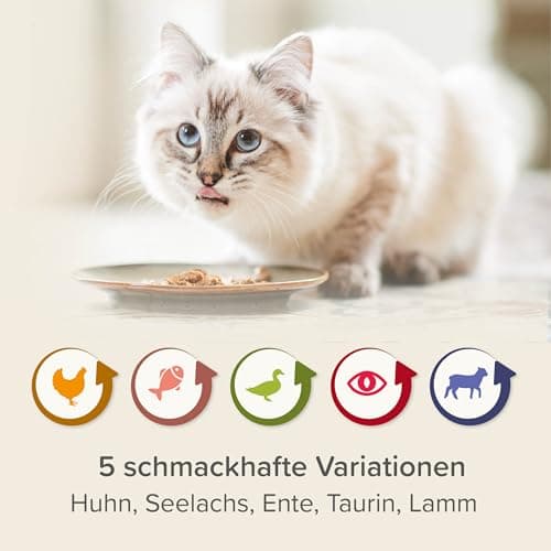 BEAPHAR - Diet mix for cats - Dietary food - Reduced phosphorus content - With valuable salmon oil - Supports kidney function - Gentle food for gourmets - 6 servings x - Image 5