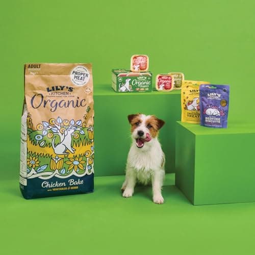 Lily's Kitchen Made from natural ingredients Wet food tray for adult dogs Organic Chicken 11 x 150g - Image 4