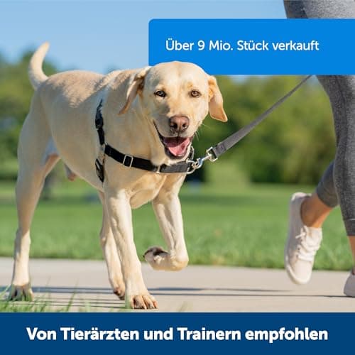 PetSafe Easy Walk Harness - Image 5