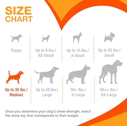 Nylabone Dura Durable Dental Chew Toy, Textured Bone Beef & Cheese Flavour for Medium Dogs (up to 35 lbs), Powerful/Extreme Chew Dogs - Image 6