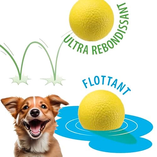 Ferplast Jouet Chien, Balle pour Chien, en Matériau Durable, Non Toxique, Résistante aux Morsures, pour l'Hygiene Dentaire, Rebondissant et Flottant, CHEWA BOING Balle, Jouets Gros Chien, Jaune - Image 4