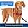 PetSafe Easy Walk Harness with No-Pull Buckle and 1.8 m Leash, Comfortable Walk for You and Him, 4 Adjustment Points, Durable, Easy to Put On and Off, Black, Size M - Image 8