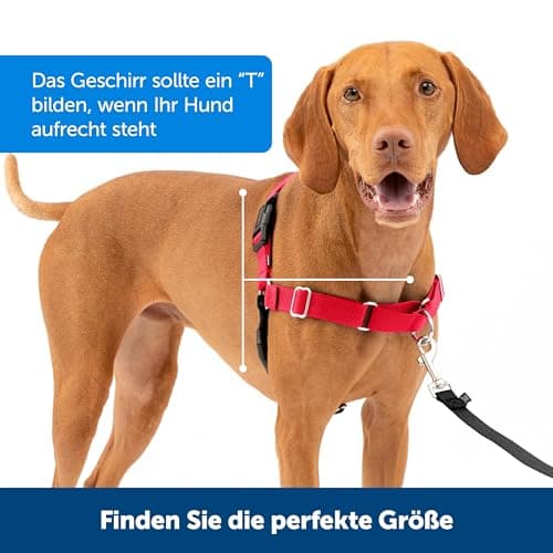 PetSafe Easy Walk Harness - Image 8