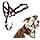 Halti Halter – To Stop Pulling On His Leash, Fully Padded On The Snout, Anti-Pull Collars for Medium Dogs (Size 2, Walnut Brown) - Image 3
