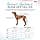 HALTI Anatomy Dog Harness with Handle - Gives Your Dog Freedom of Movement for a Comfortable Walk. 3 Attachment Points, Adjustable and Reflective (Size M, Teal) - Image 6