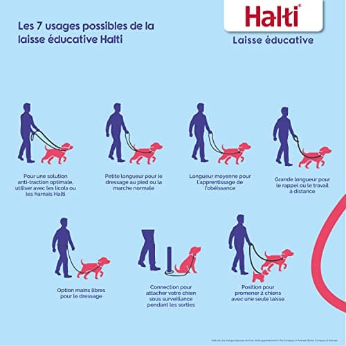 HALTI Training Leash - 7 Functions Designed to Help You Train and Walk Your Dog, Padded Double Ended Dog Training Leash for Dogs and Puppies (Small, Black, 2m) - Image 4