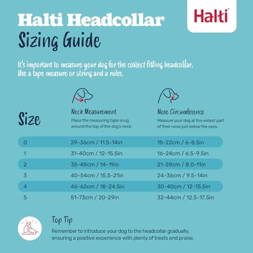 Halti Halter – To Stop Pulling On His Leash, Fully Padded On The Snout, Anti-Pull Collars for Medium Dogs (Size 2, Burnt Orange) - Image 7