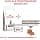 Royal Canin Gastrointestinal Kitten Feline | 2kg | Dietary Complete Food for Kittens | Can Help Reduce Gastrointestinal Tract Disorders - Image 4