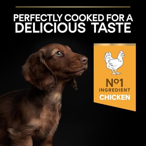 PURINA PRO PLAN | Healthy Start | Small and Mini Puppy Food | Strengthens Puppy's Natural Defences | Rich in Chicken | Bag | Pack of 1 x 3 kg - Image 8