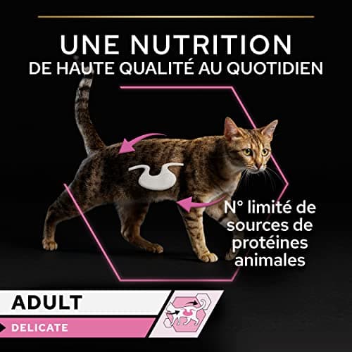 PURINA PRO PLAN | DELICATE DIGESTION | Complete Food for Adult Cats | Helps Promote a Healthy Digestive System | Sliced in Sauce | Turkey | Individual Serving | 10 x 85g - Image 6