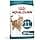 Royal Canin Ageing Sterilised 11+ | 400g | Dry Food for Sterilized Cats Ages 11+ | Formula with HealthyAge7 Complex | Contains Easy Chewable Kibble - Image 2