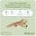 WHIMZEES by Wellness Antler, Antler, Antler Dental Treat with Calming Effects for Large Dogs (18-27 kg), All Natural, Grain Free, 6 Pieces - Image 4