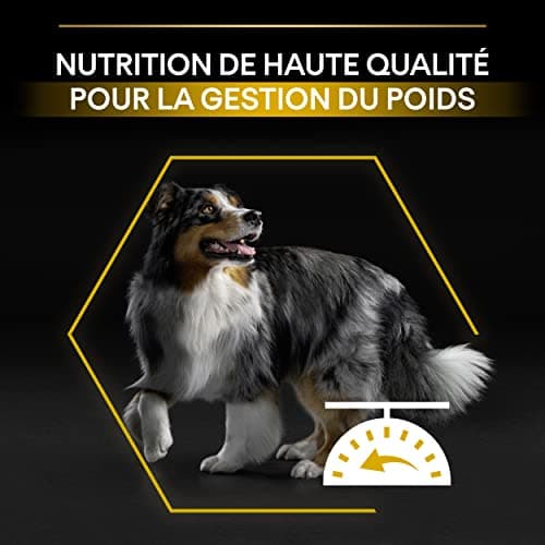 PURINA PRO PLAN | Light/Sterilized | Adult Dog | All Sizes | Protein Dry Food | Chicken | Promotes Weight Management | Bag | 7 kg - Image 8