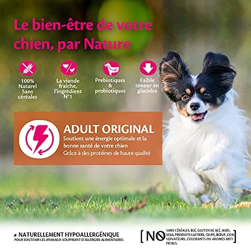 Wellness CORE Small Breed Adult Original, Croquettes Chiens de Petite Race, sans Céréales, à Haute Teneur en Viande, Dinde & Poulet, 5 kg - Image 4