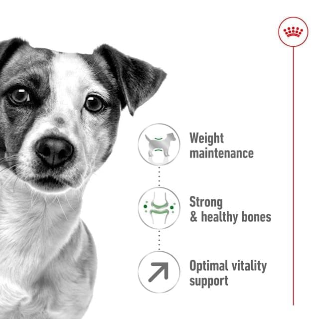 Royal Canin Mini Adult 8+ | 2 kg | Complete Food for Small Dogs (up to 10 kg) in the second half of their life | Ages 8+ | Can help support vitality - Image 5